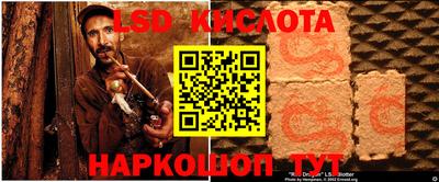 дживик Моздок