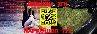 дживик Моздок