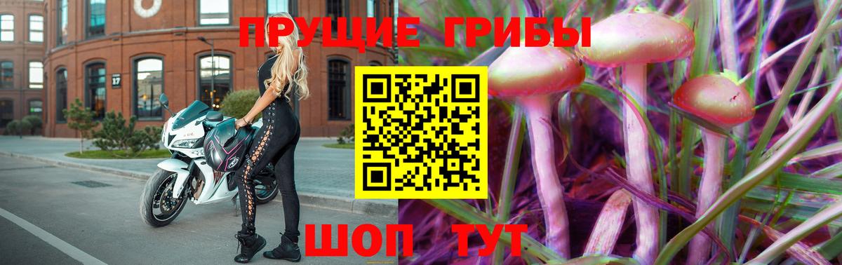 продажа наркотиков  Уссурийск  Псилоцибиновые грибы Cubensis 
