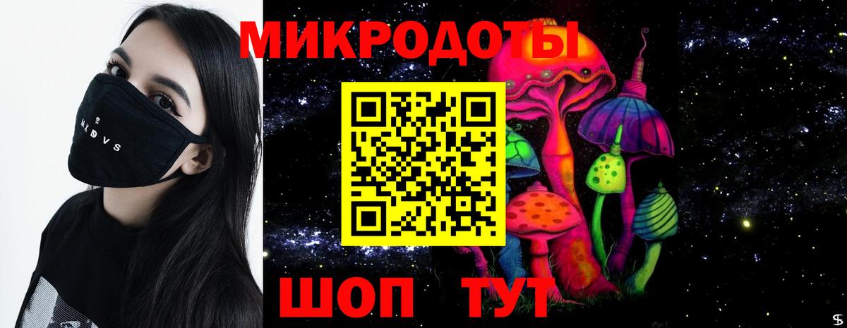 Псилоцибиновые грибы мицелий Уссурийск